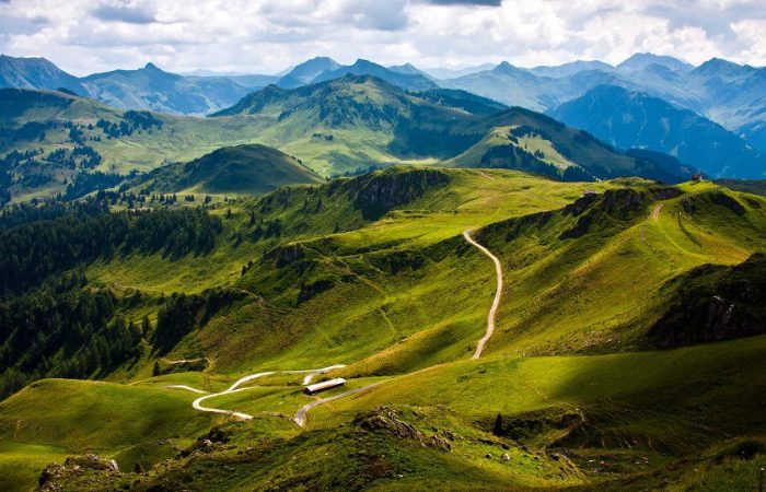 Ecology tours ingeorgia