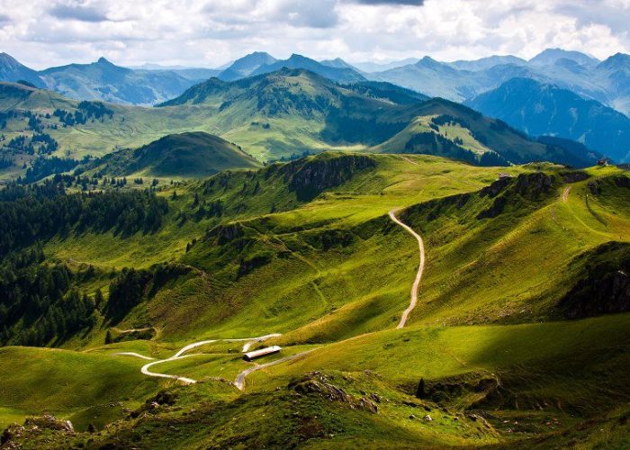 Ecology tours ingeorgia