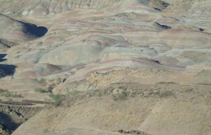 Colorful sedimentary rainbow hills in Udabno desert