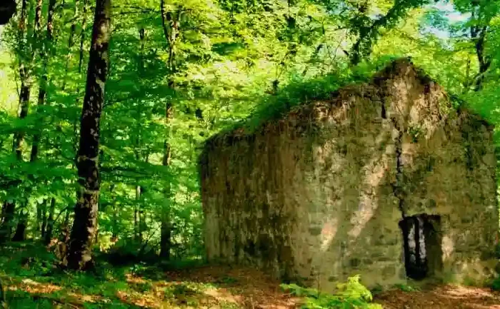Ancient Machi's fortress ruins in the forest