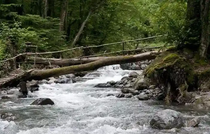 Pristine river in the core zone of Lagodekhi Nature Reserve