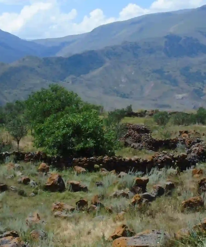Ancient History Tour at the Saro megalithic ruins.