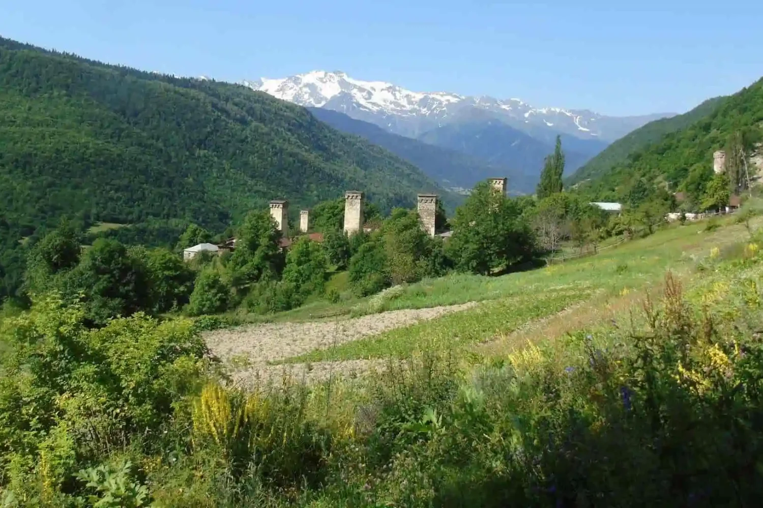 Panoramic view of Svan towers and snowy mountain