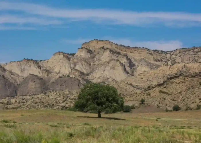 Rolling hills and vast horizons in the protected Vashlovani area.