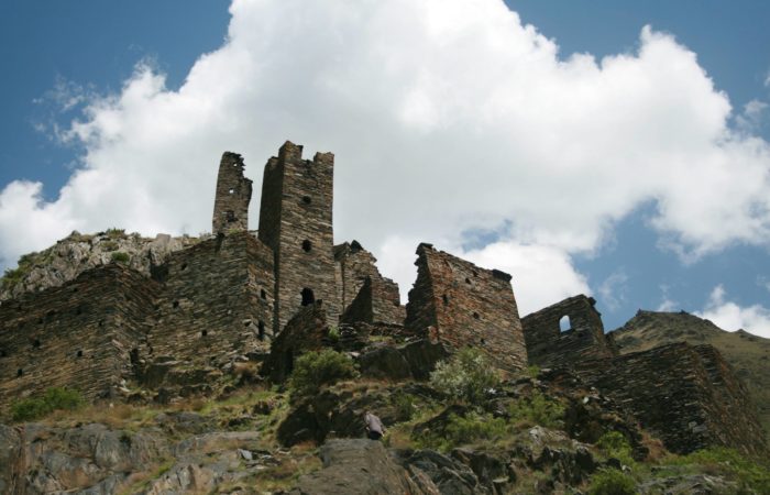 Trip to the wild nature