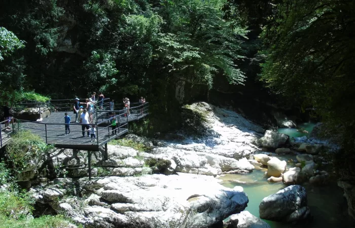 Tour to Martvili Canyon