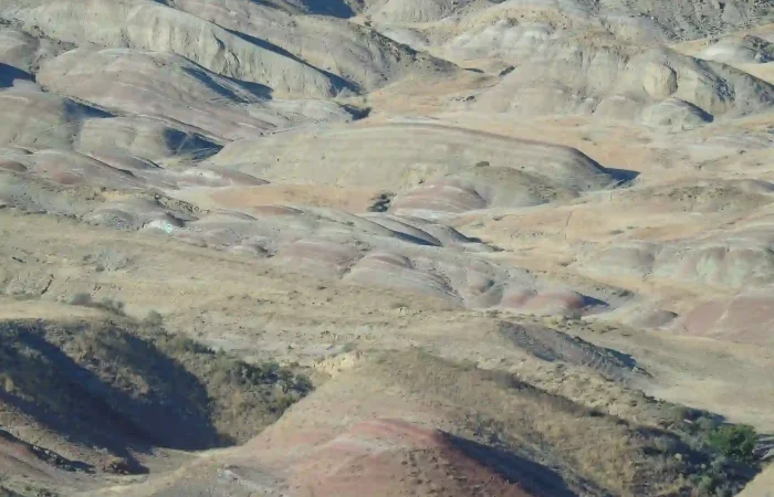 Horizontal colored soil layers and rocks in Gareja desert