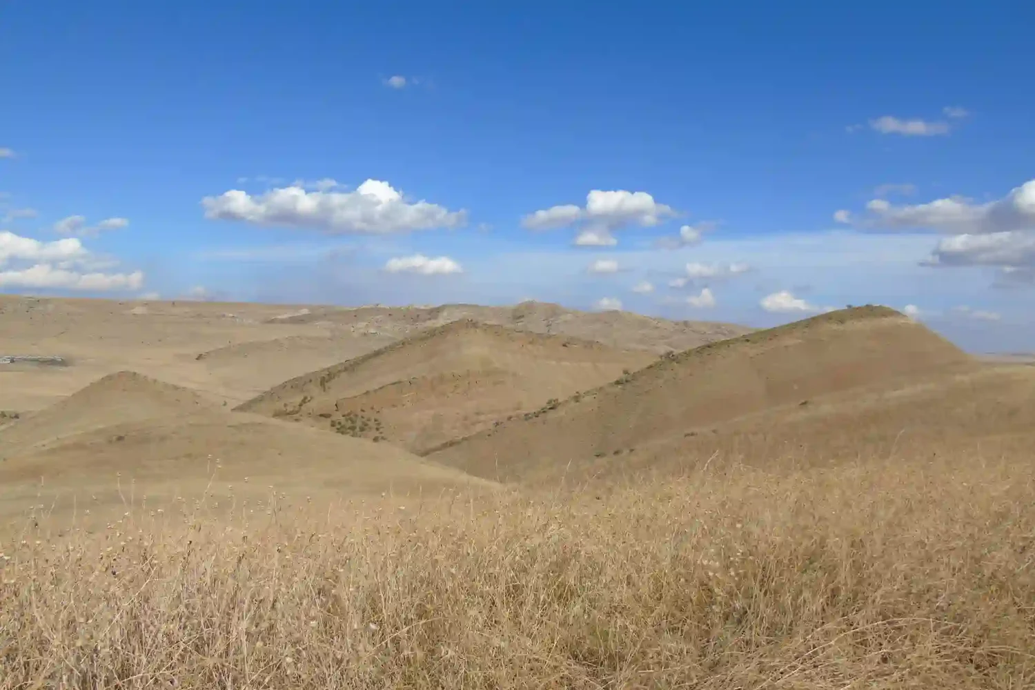 Arid landscape and semi-desert terrain of David Gareja