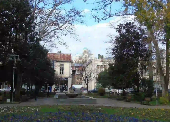 Beautiful blooming flowers with Bagrati Cathedral in the background.