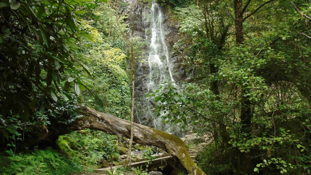 Makhuntseti Waterfall, a natural monument near Batumi