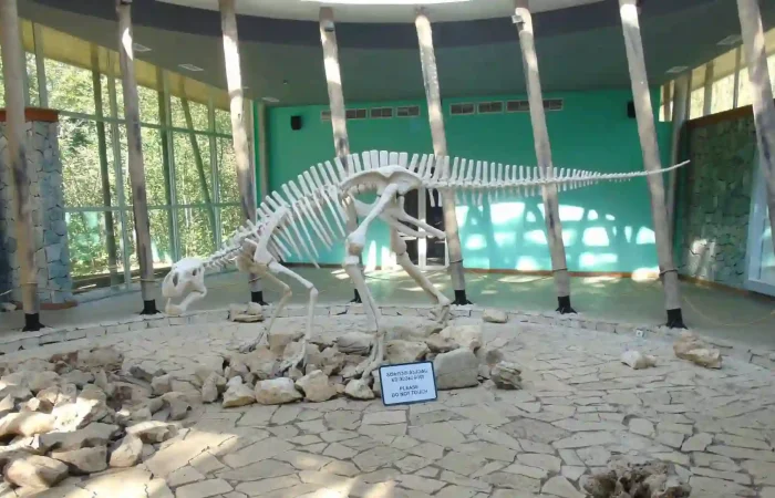 Realistic dinosaur model in the prehistoric park area