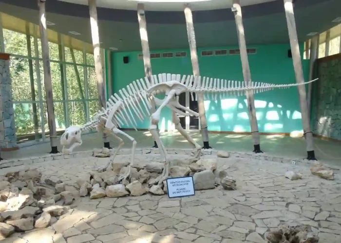 Realistic dinosaur model in the prehistoric park area