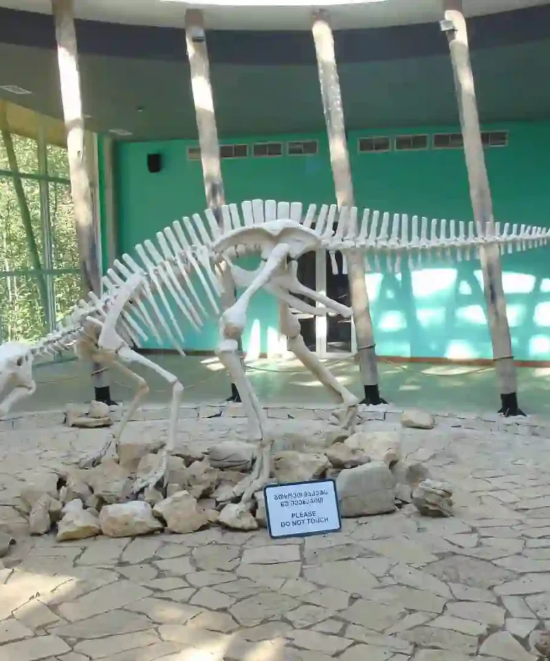 Realistic dinosaur model in the prehistoric park area