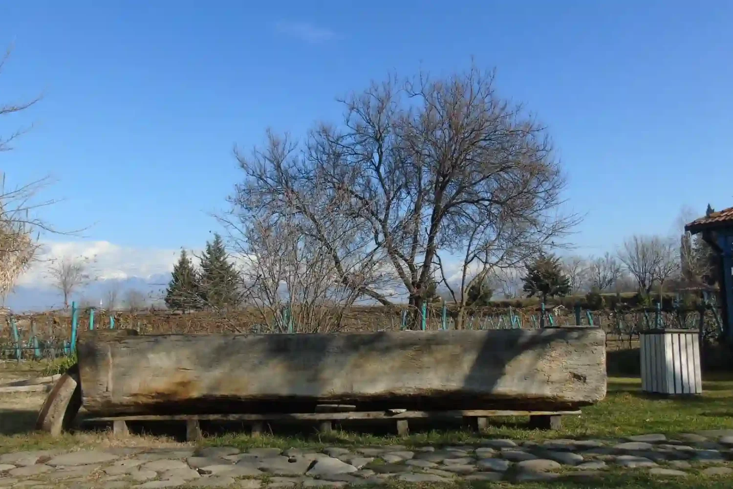 Wine culture on our Day tour to Telavi from Tbilisi