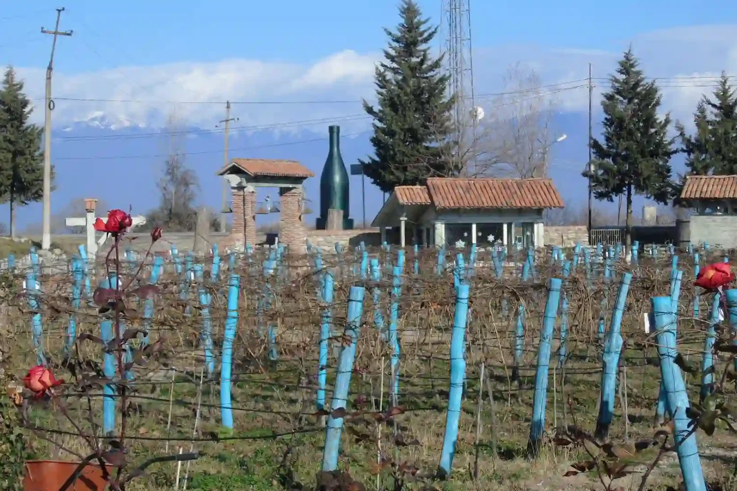 Caucasus mountains view