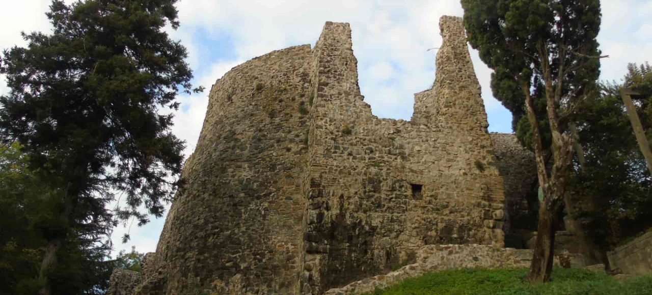 View of the ruined wall of Petra Fortress and eucalyptus trees
