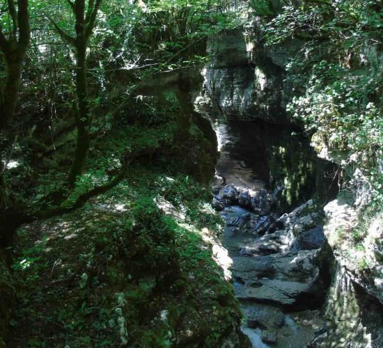 Martvili Canyon territory, yard, view of the small canyon gorge