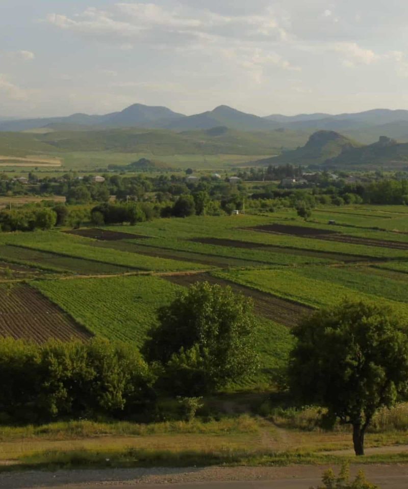 Road to Bolnisi, Panoramic View, Low Mountain Range on the Left Side of the Road
