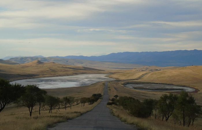 Wild tours in Georgia Kakheti David Gareja Semi-desert
