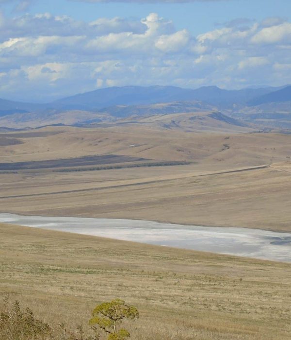 Travel tour from Tbilisi to the semi-desert