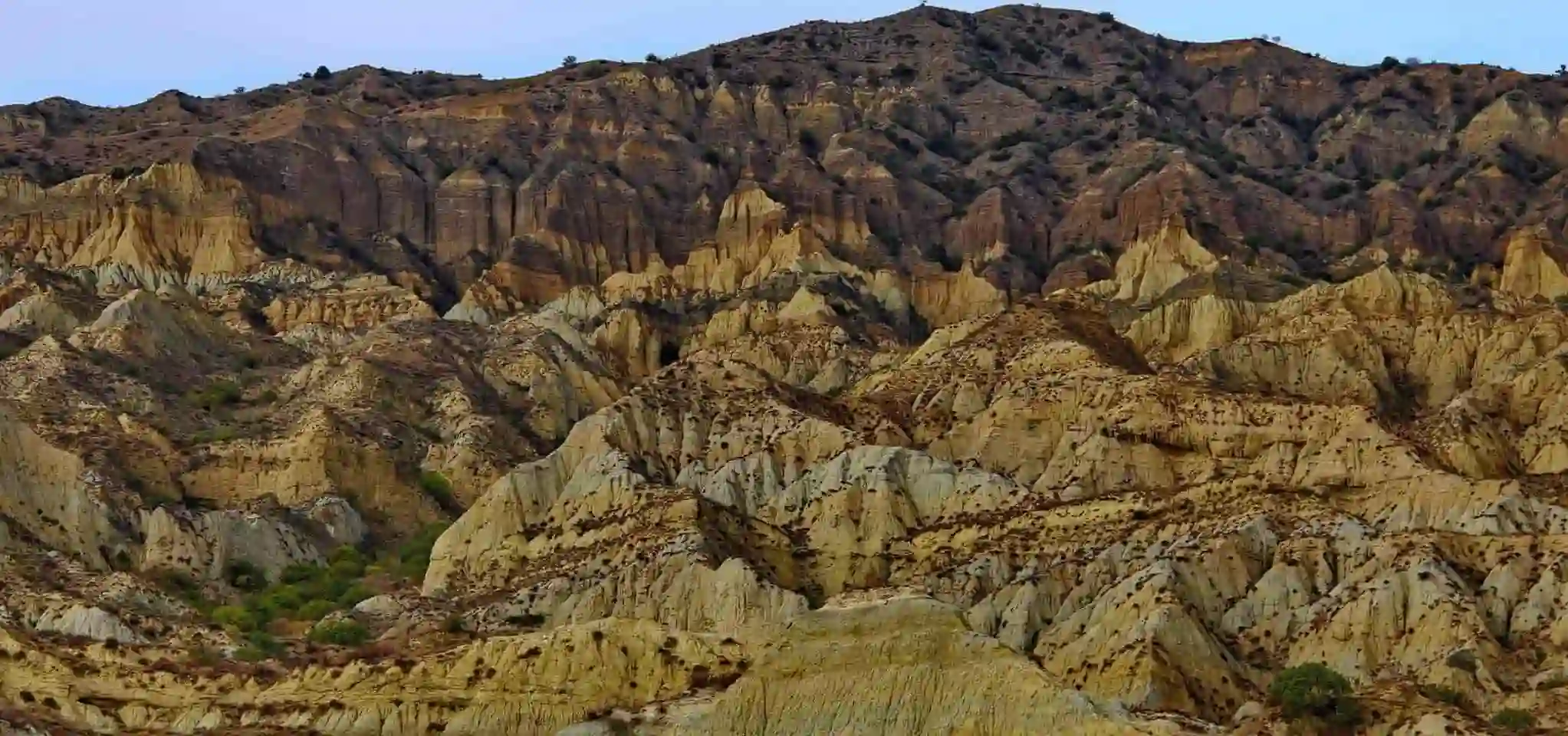 Chachuna Reserve nature - Holidays & excursions in Georgia