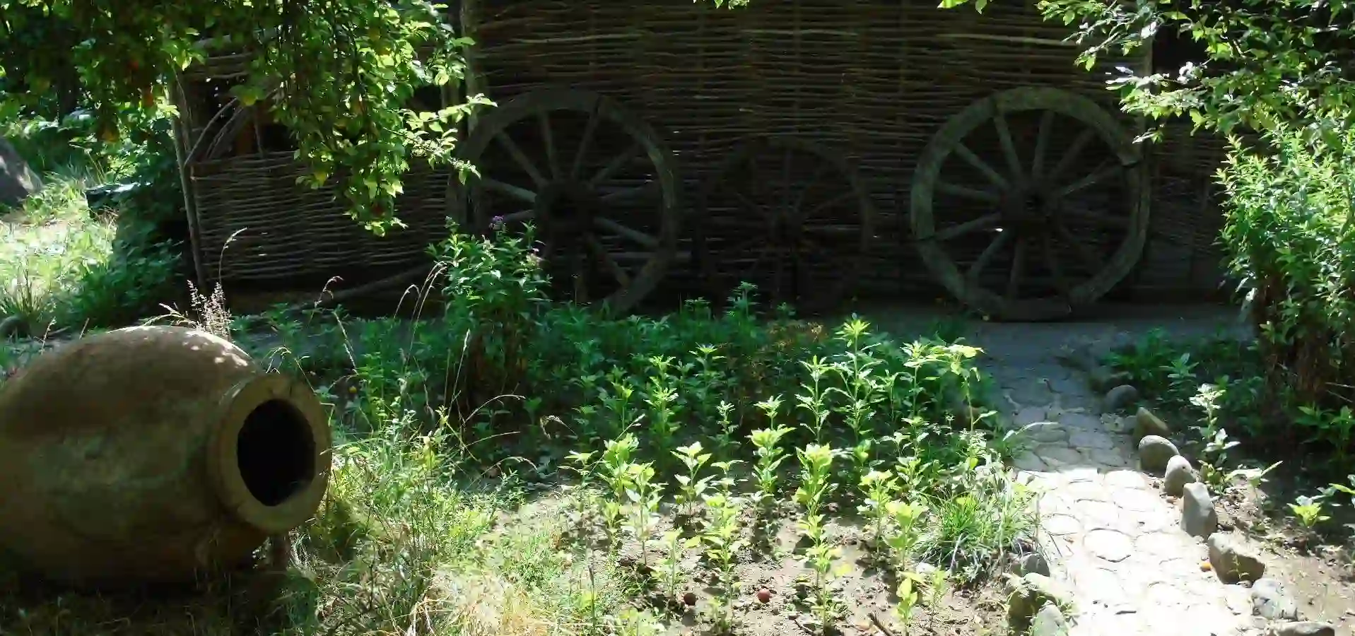 Traditional Georgian wine culture - Holidays & excursions in Georgia