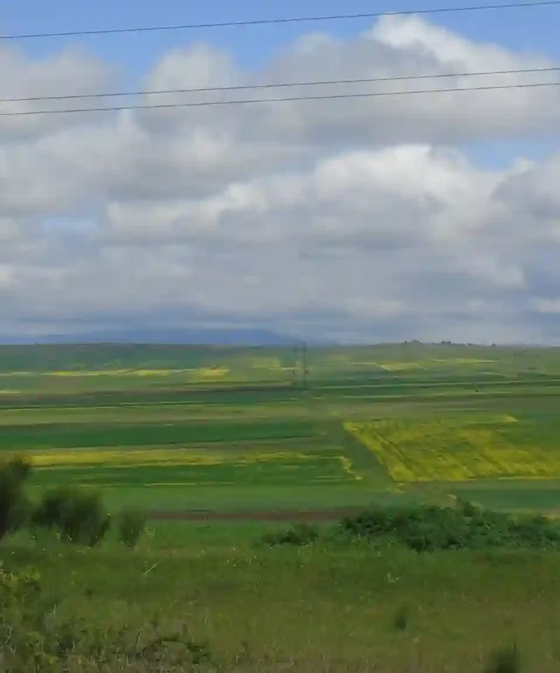 The vast agricultural fields and rolling landscapes of the Kartli region in Georgia.