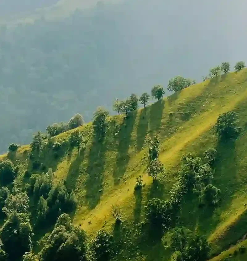 Golden sun rays shining through the vibrant green forested mountains in Tusheti