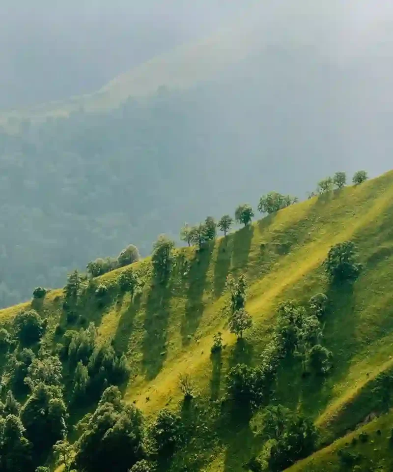 Golden sun rays shining through the vibrant green forested mountains in Tusheti region Georgia
